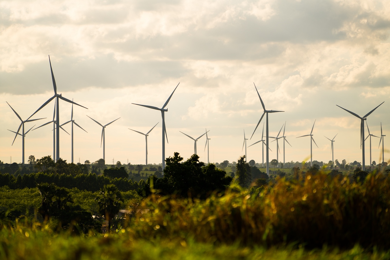 A wind farm generating renewable energy